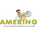 Amering Salzkammergut Eiprodukte GmbH logo