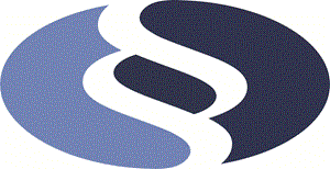 Pirker & Partner Wirtschaftstreuhand- Steuerberatungs OG logo