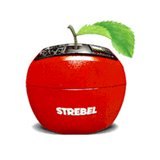 Strebelwerk GmbH logo