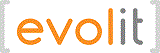 EVOLIT Consulting GmbH logo
