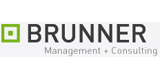 B.I. Personal- & Managementberatungs GmbH logo